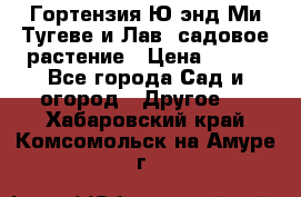Гортензия Ю энд Ми Тугеве и Лав, садовое растение › Цена ­ 550 - Все города Сад и огород » Другое   . Хабаровский край,Комсомольск-на-Амуре г.